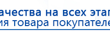 СКЭНАР-1-НТ (исполнение 02.2) Скэнар Оптима купить в Смоленске, Аппараты Скэнар купить в Смоленске, Медицинская техника - denasosteo.ru